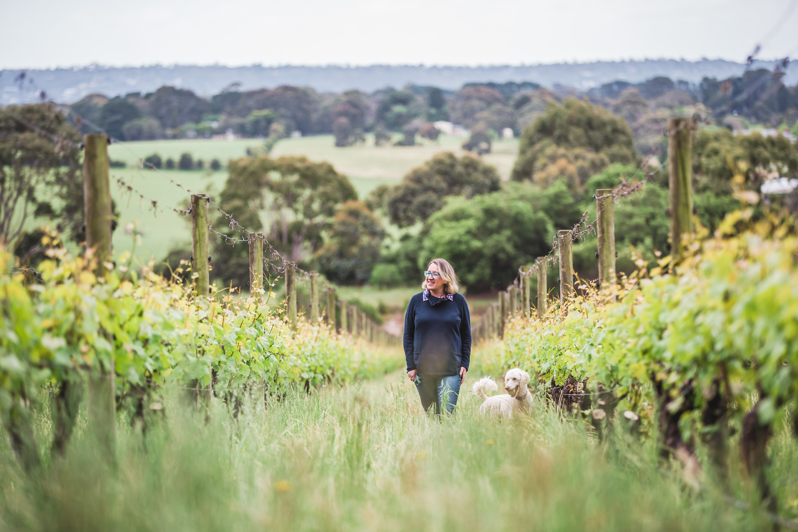 In the vineyard