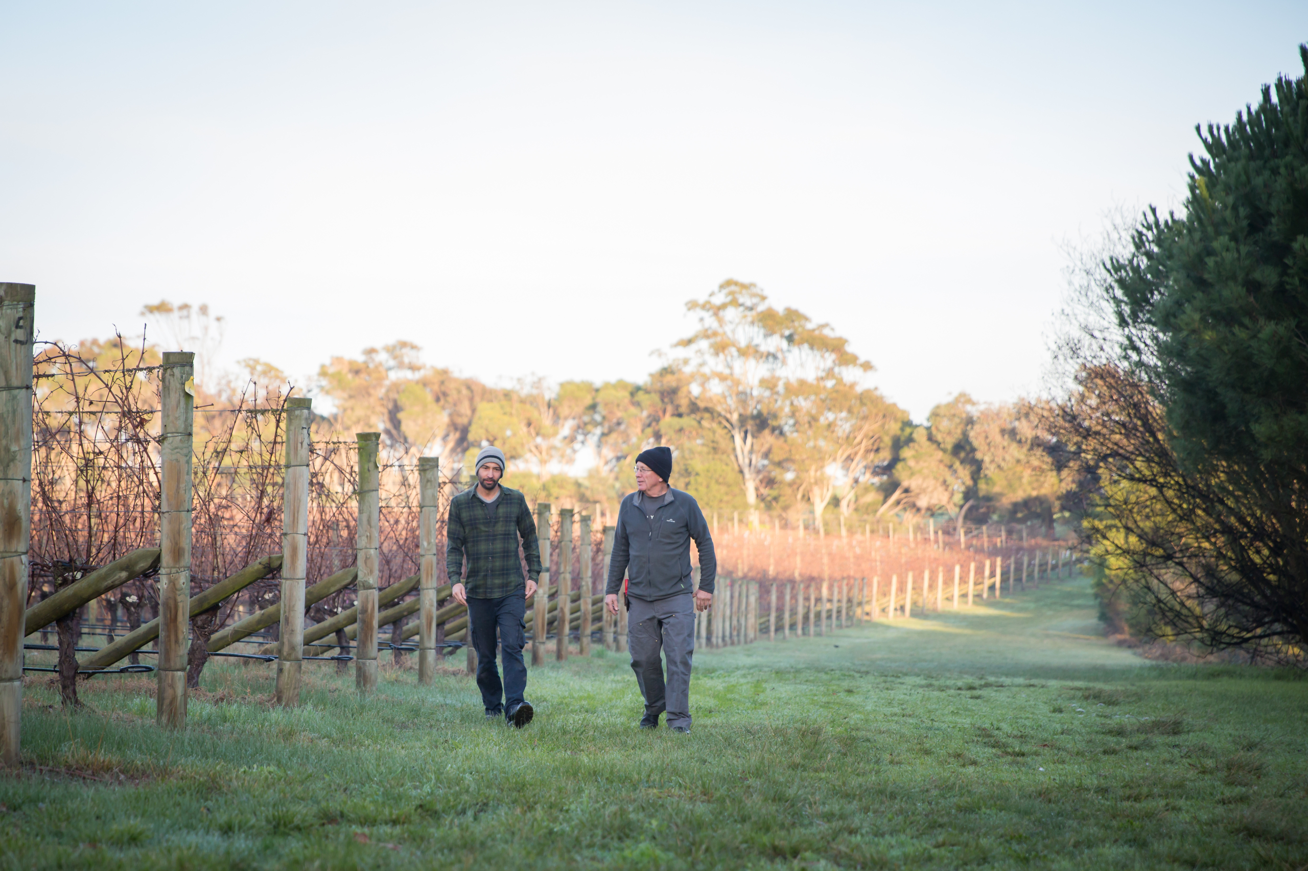 Richard and Jeremy walking the vineayrd